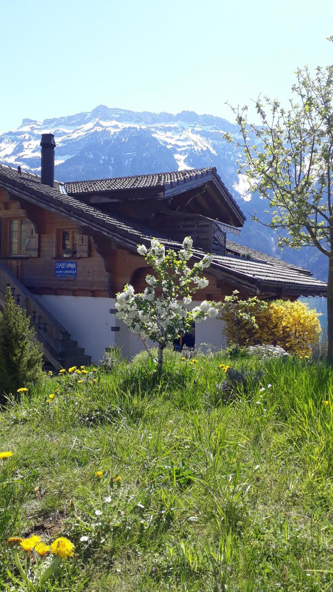 Chalet Diana Lakefront Ringgenberg Zewnętrze zdjęcie